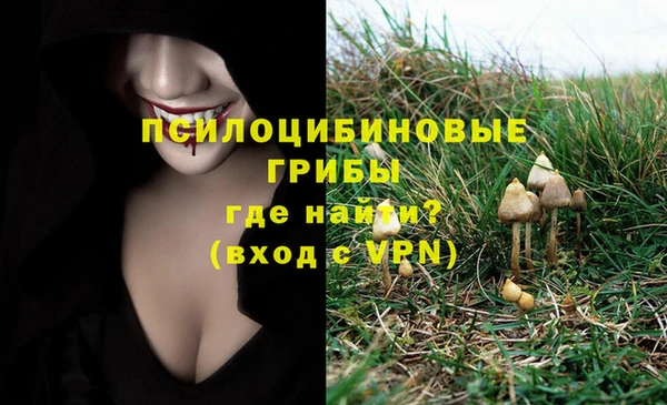 гидра Алзамай