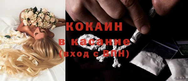 бошки Алексин