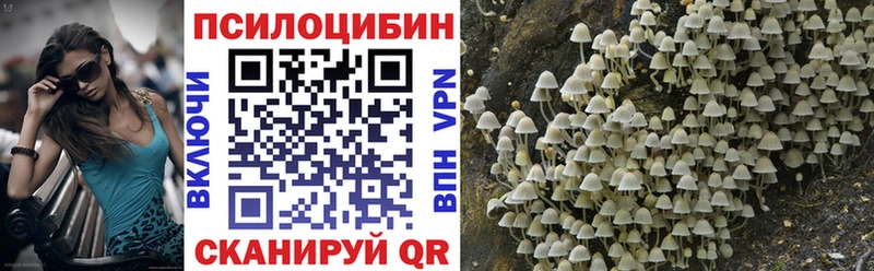 Псилоцибиновые грибы мицелий Чапаевск