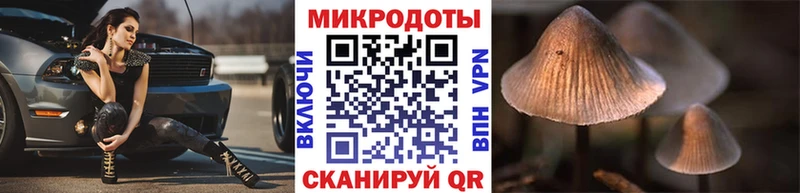 shop какой сайт  Чапаевск  Псилоцибиновые грибы мухоморы  купить закладку 